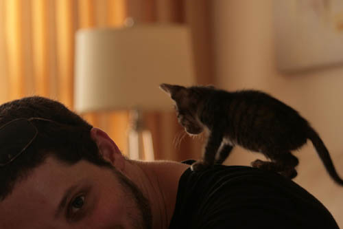 Yuval & Carmella the cat